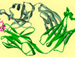 alemtuzumab