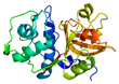 biomarker_smerti