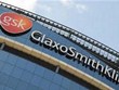 glaxosmithkline