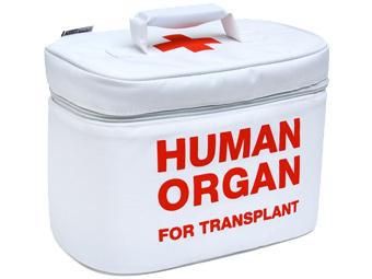 human_organs