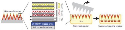 microneedlepatch princip