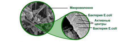 nanobint_2