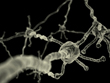 pegneurons